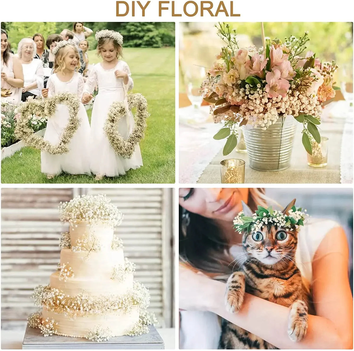 100g (3.5 oz) Dried Baby's Breath Gypsophila Bouquet - Preserved Boho Floral Home & Wedding Decor