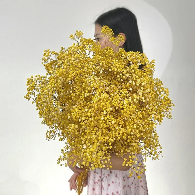 100g (3.5 oz) Dried Baby's Breath Gypsophila Bouquet - Preserved Boho Floral Home & Wedding Decor