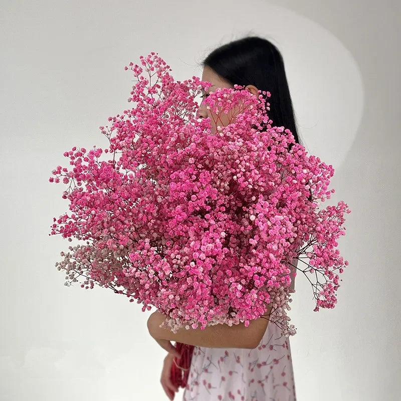 100g (3.5 oz) Dried Baby's Breath Gypsophila Bouquet - Preserved Boho Floral Home & Wedding Decor