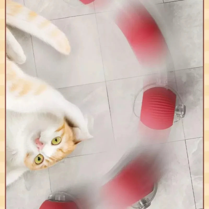 Interactive Automatic Cat Toy Ball with Motion Sensor — USB-C Rechargeable, Soft Silicone Shell