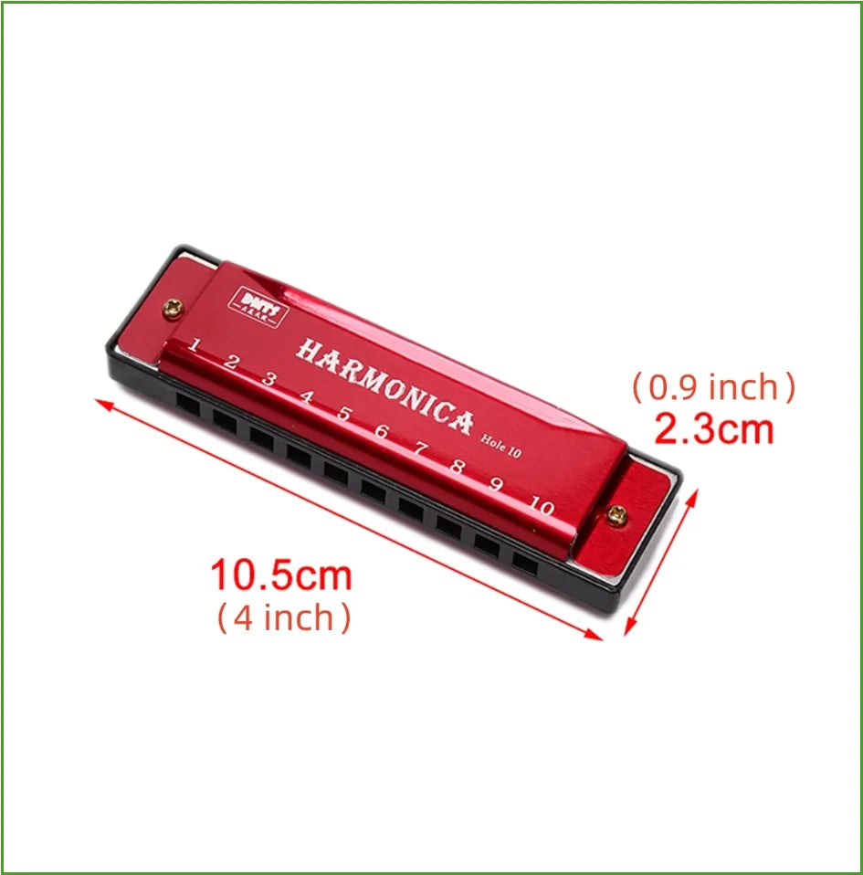 Diatonic harmonica in C with case for kids, view 3