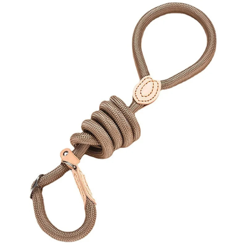 Personalized Nylon Dog Leash with Quick-Release Clip, Adjustable Loop Collar for Small to Medium Dogs