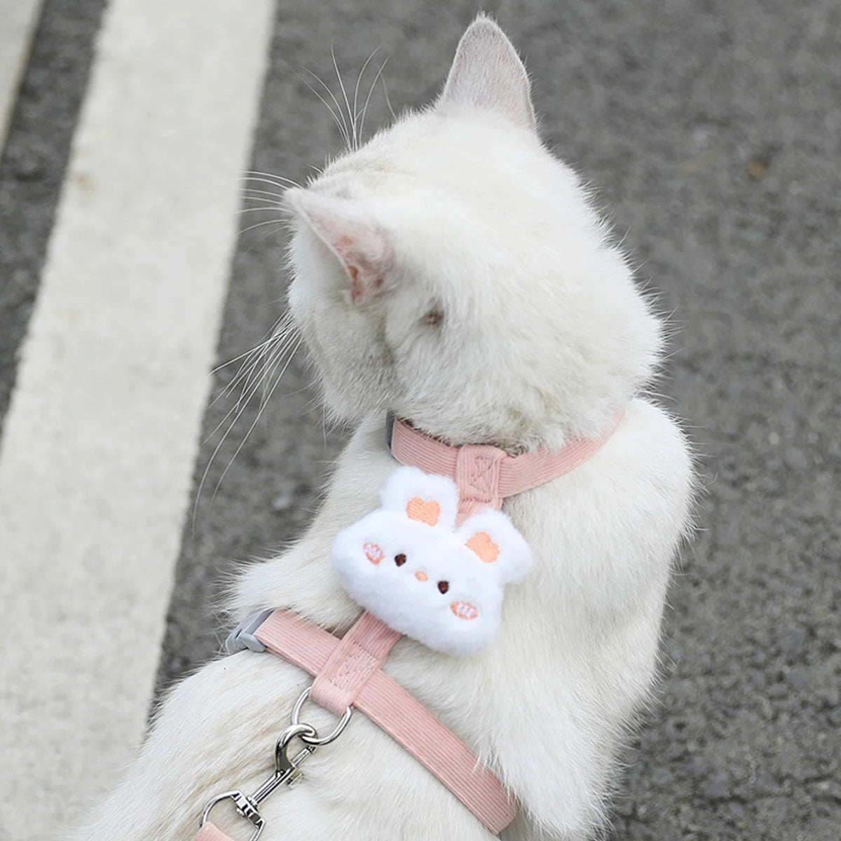 Adjustable Breathable Cat & Small Dog Harness with 120 cm (47 in) Leash, Escape-Proof Chest Strap S/M
