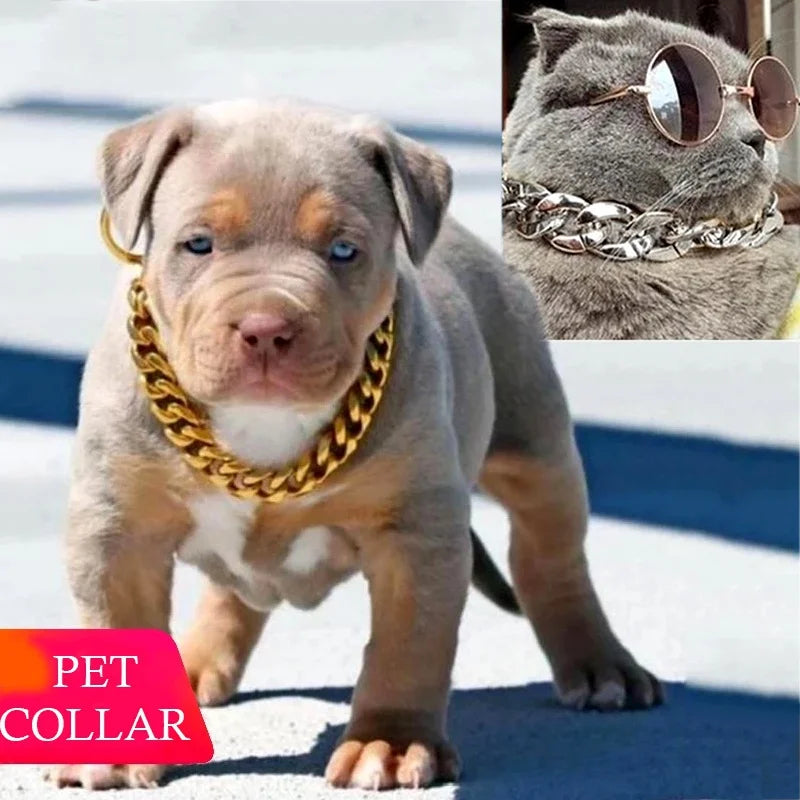 Gold Chain Dog Collar Necklace – Small & Medium Decorative Pet Collar Jewelry