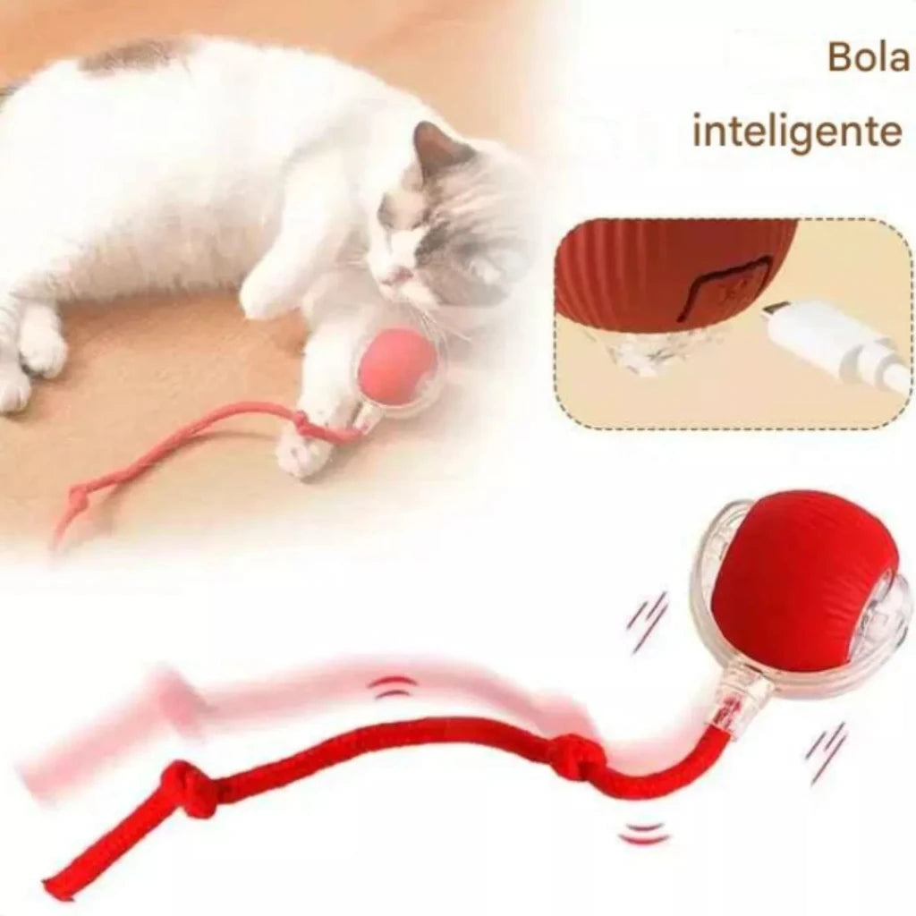 Interactive Automatic Cat Toy Ball with Motion Sensor — USB-C Rechargeable, Soft Silicone Shell