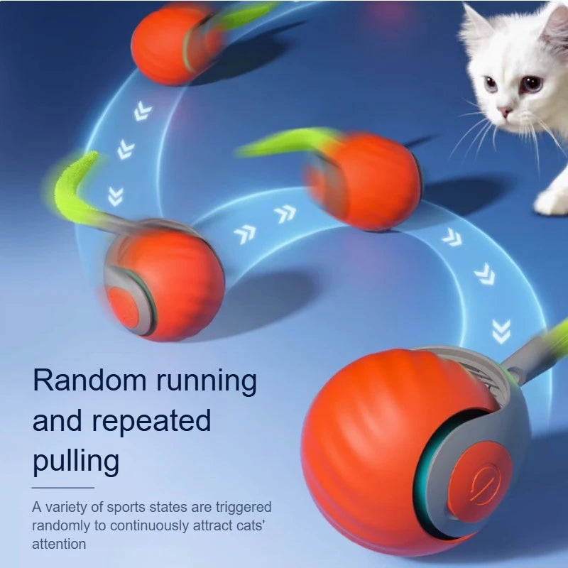 Interactive USB Rechargeable Rolling Cat Toy with Faux Tail — Automatic Teaser Ball for Cats & Small Dogs