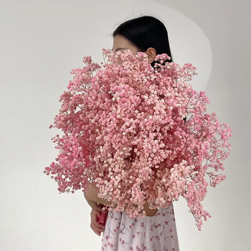 100g (3.5 oz) Dried Baby's Breath Gypsophila Bouquet - Preserved Boho Floral Home & Wedding Decor