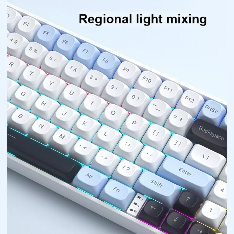 Wireless Mechanical Keyboard - 3-Mode (Wired/2.4GHz/Bluetooth), 100-Key Hot-Swap RGB PBT Keycaps, 4000mAh