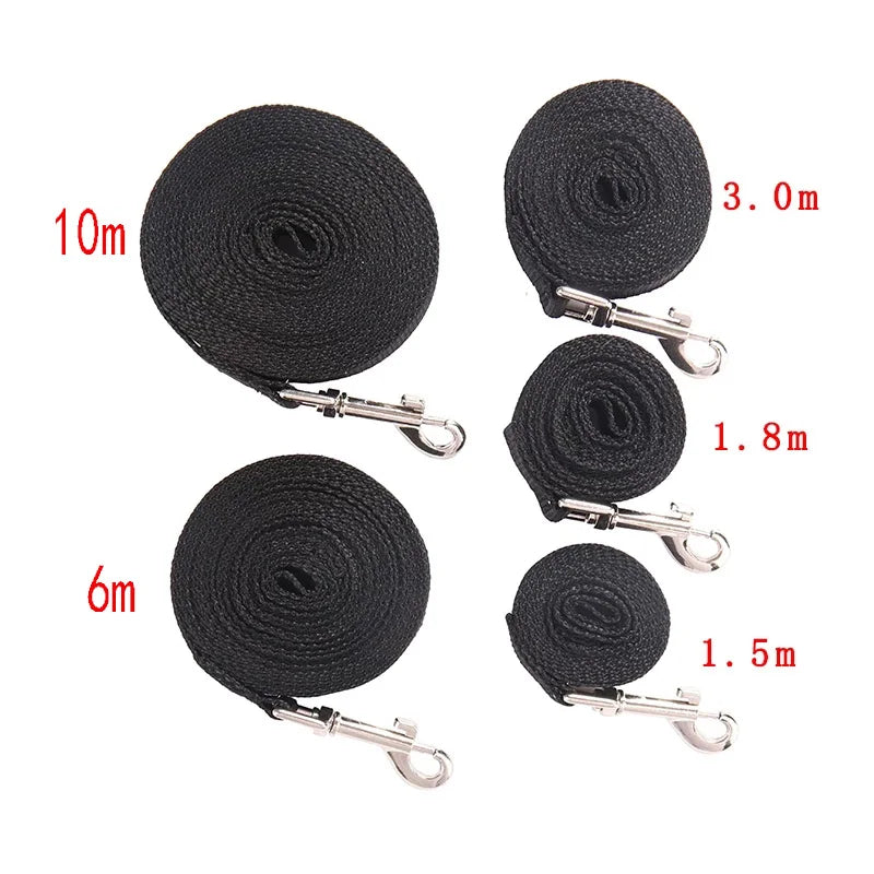 Durable Nylon Dog Leash for Walking & Training — Long Strong Lead for Small to Large Dogs and Cats, Multiple Lengths 1.5–50 m (4.9–164 ft), 2 cm (0.79 in)