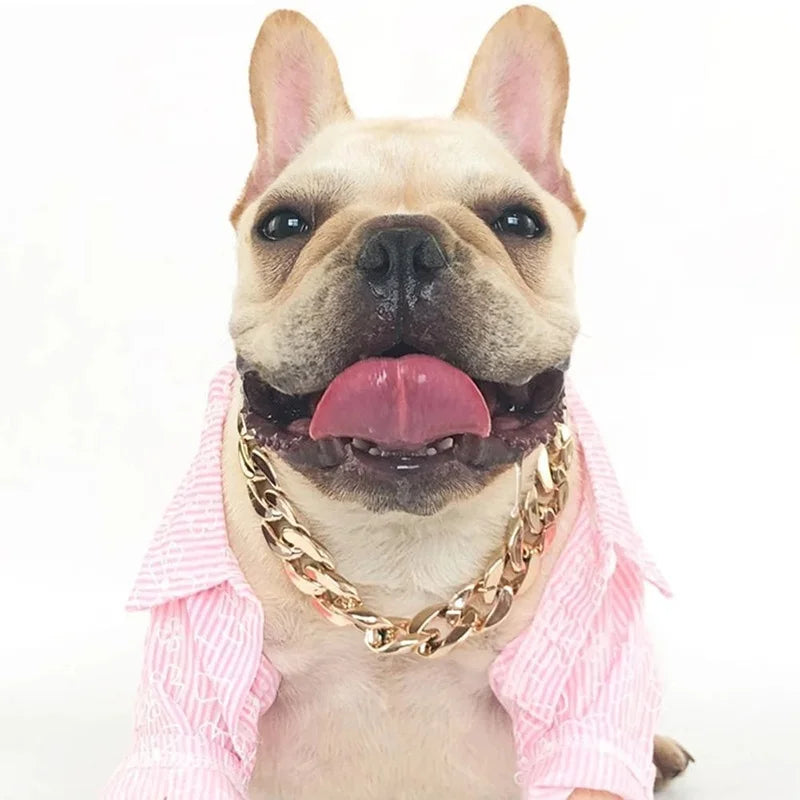 Gold Chain Dog Collar Necklace – Small & Medium Decorative Pet Collar Jewelry