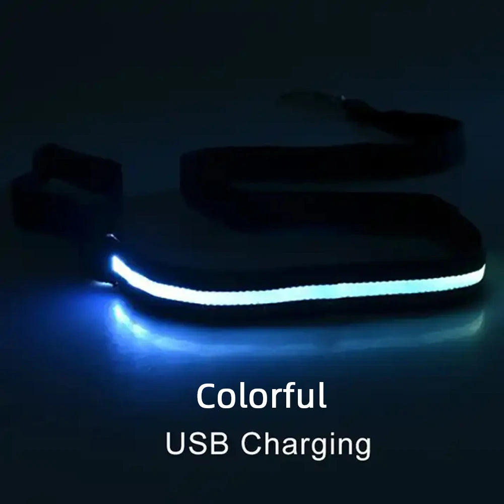 LED Light-Up Dog Leash 47.2 in (120 cm) Luminous Rope Safety Lead for Night Walks