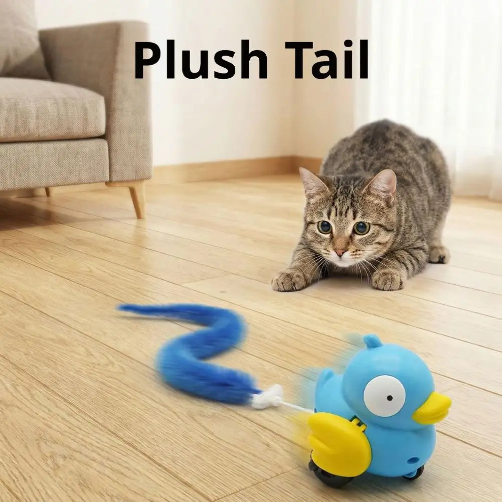 Interactive Plush Bird Cat Toy — Pull-String Wind-Up Tail Teaser, Battery-Free Indoor Cat Toy