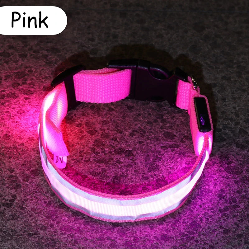 LED Luminous Nylon Dog Collar – Glow Reflective Safety Collar for Night Walks (XS-XL)