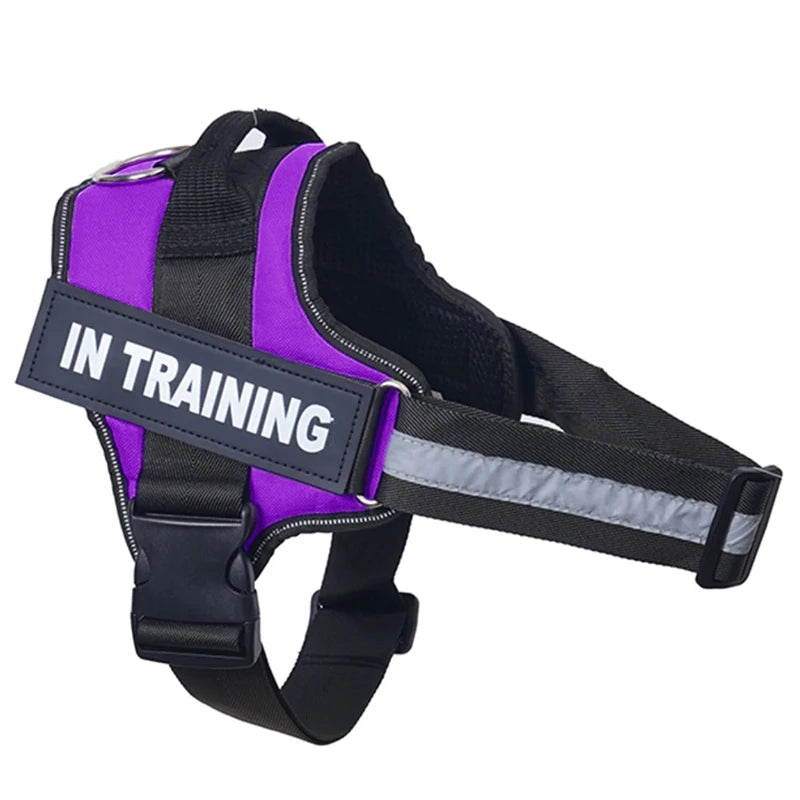 Personalized Reflective No-Pull Dog Harness Vest - Adjustable Nylon Pet Harness with Handle & Leash Attachment - Small/Medium/Large