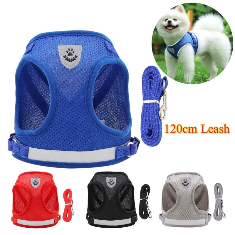 Adjustable Pet Harness & Leash Set – Vest Walking Lead for Dogs & Cats (Puppy & Kitten)