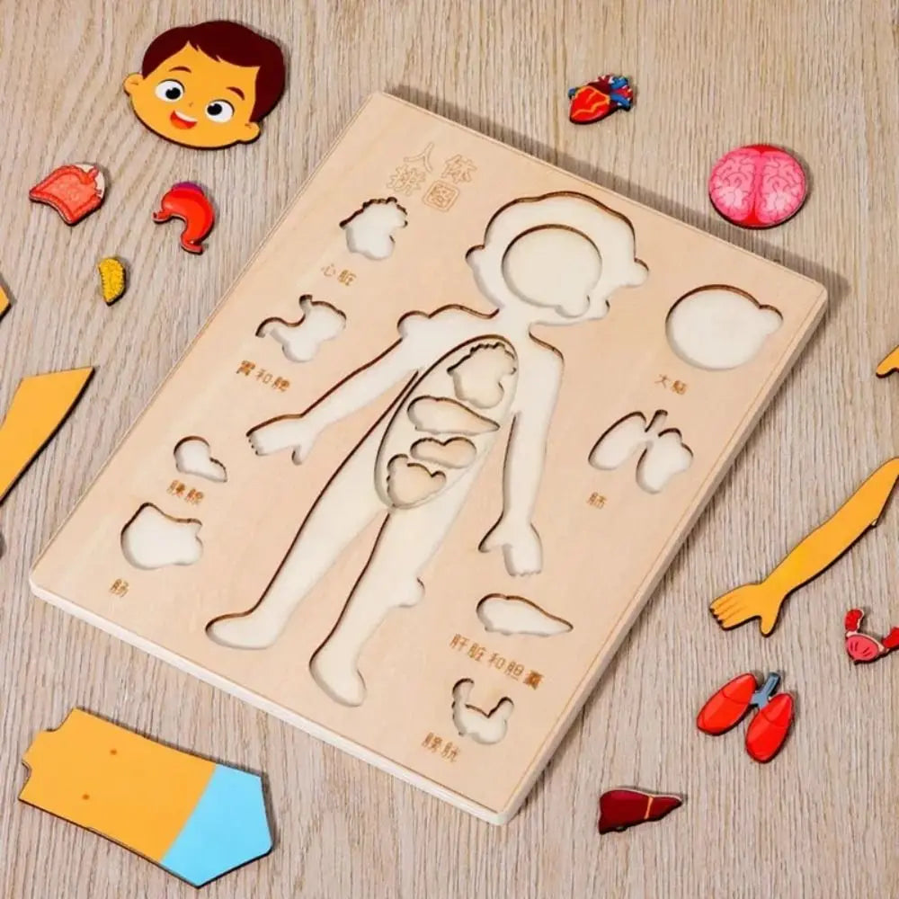 Montessori Wooden Human Body Puzzle Learning Board – Educational Anatomy Toy for Preschoolers & Kids (22.8 x 18 cm / 8.98 x 7.09 in)