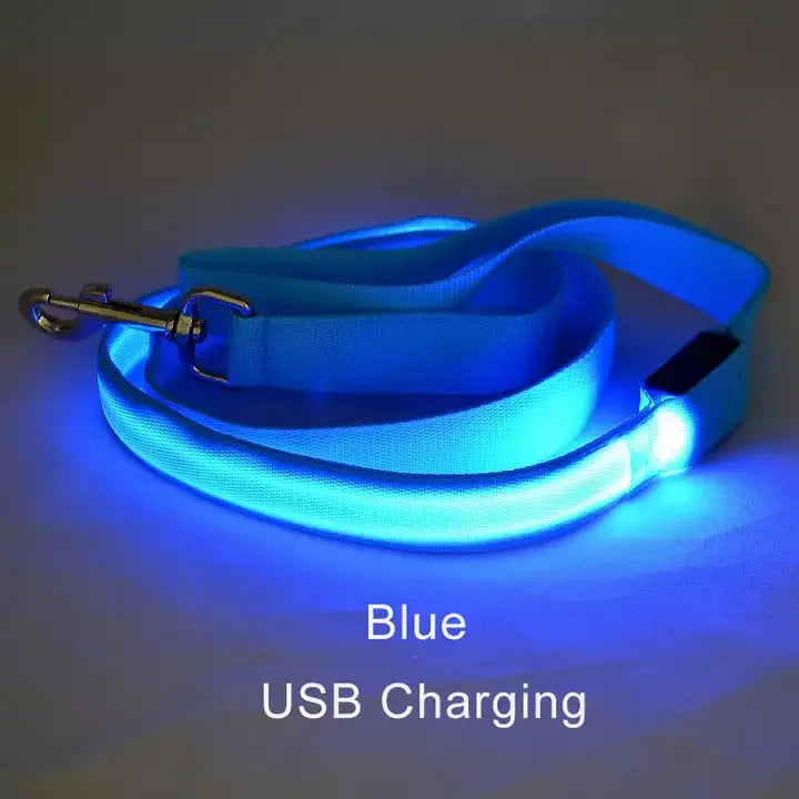 LED Light-Up Dog Leash 47.2 in (120 cm) Luminous Rope Safety Lead for Night Walks