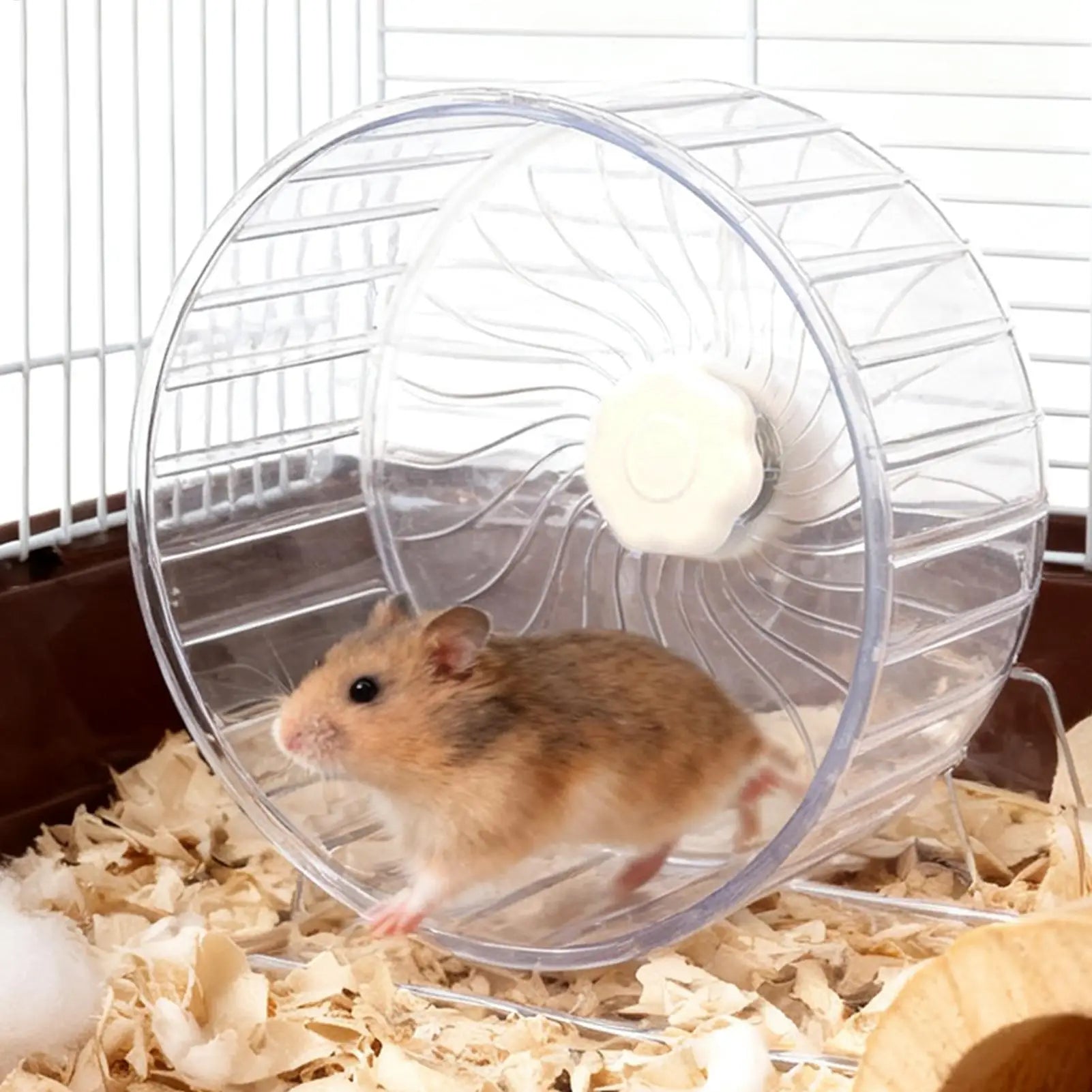 Quiet Double-Bearing Hamster Exercise Wheel 5.5 in (14 cm), Running Wheel for Hamsters Mice Gerbils