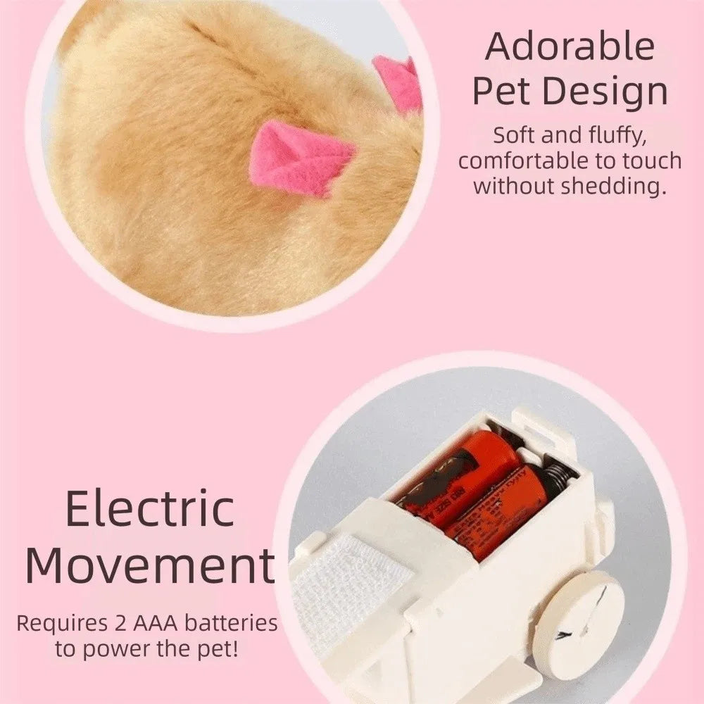 Interactive Cat Chasing Ball with Plush Toy view 5