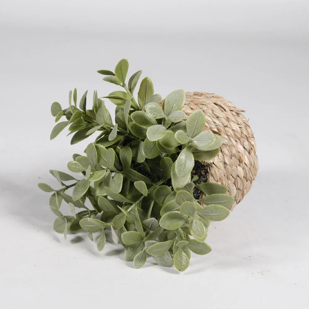 Faux Eucalyptus Potted Plant 11 cm (4.33 in) Green Artificial Tabletop Plant for Home and Office Decor