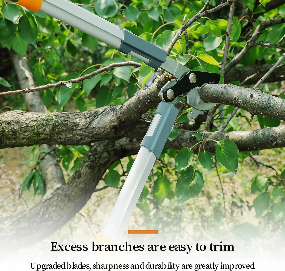 FanzyMarket ratchet long-handle loppers for pruning coarse branches in gardens, bonsai, and orchards, featuring heavy-duty blades.