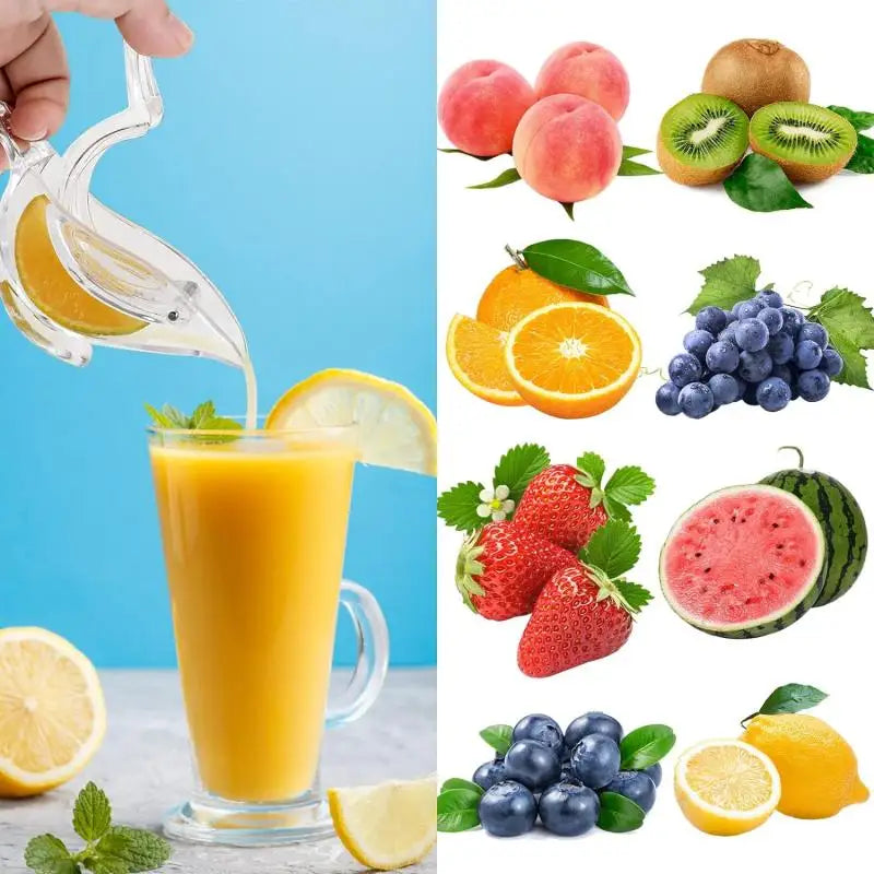 Bird-shaped citrus juicer from FanzyMarket, mini portable handheld lemon and orange squeezer in transparent acrylic, 1 to 3-pack.