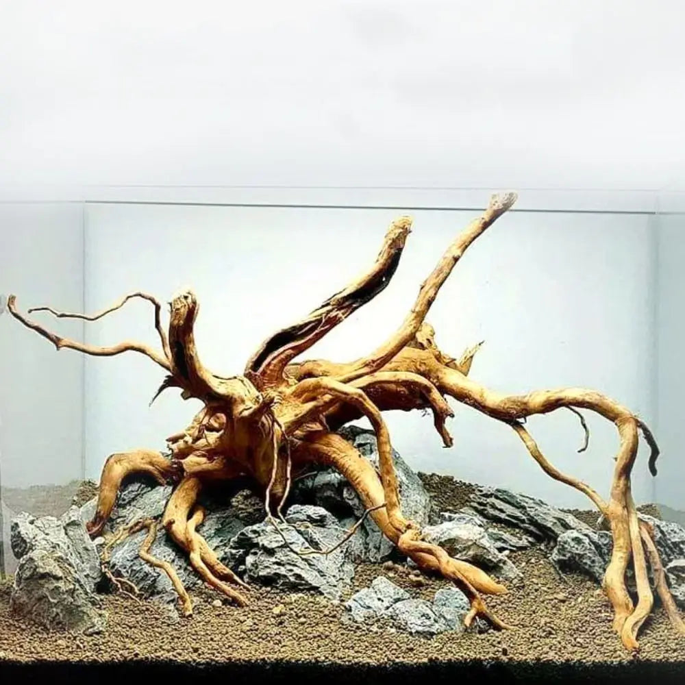 Large natural driftwood aquarium decor tree stump for fish tanks, terrariums, and aquatic plant landscaping by FanzyMarket.