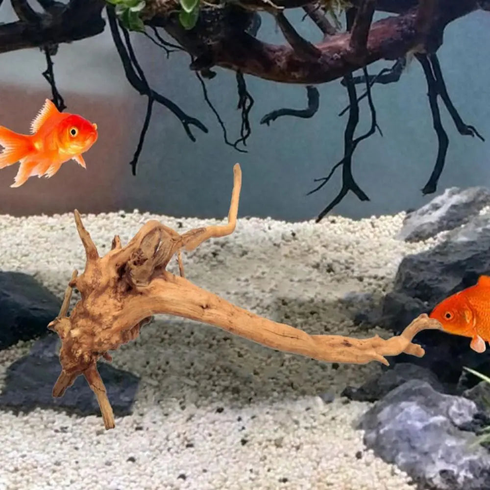 Large natural driftwood aquarium decor tree stump for fish tanks, terrariums, and aquatic plant landscaping.