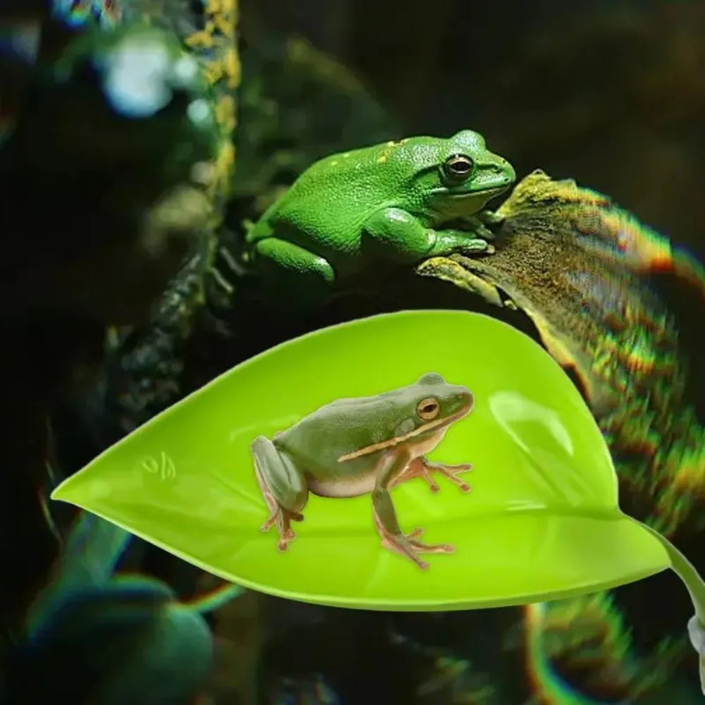 FanzyMarket frog habitat leaf with suction cups, reptile basking and resting terrace, simulated leaf for geckos in aquarium.