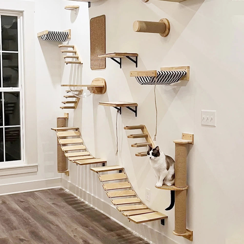 FanzyMarket wall-mounted cat climbing shelves with steps, scratching post, and cozy hideaway bed for cats.
