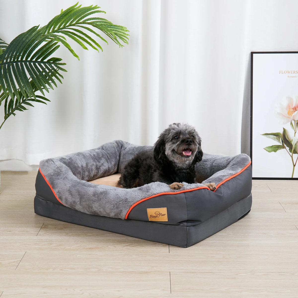 Dark grey orthopedic dog bed by FanzyMarket with cotton-padded bolster, removable washable cover, non-slip waterproof bottom in XL to 3XL sizes.