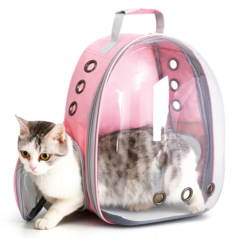 Transparent Bubble Pet Carrier Backpack for cats and small pets by FanzyMarket, breathable travel carrier with zipper and ergonomic design.