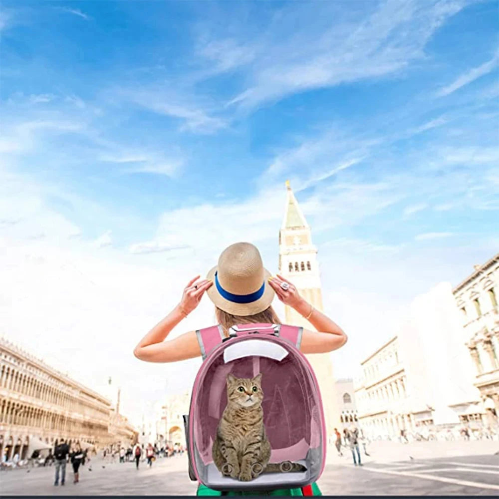 Transparent Bubble Pet Carrier Backpack for cats and small pets, breathable travel carrier with zipper by FanzyMarket.