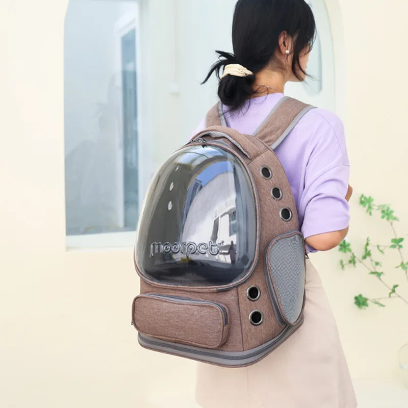 FanzyMarket transparent foldable pet carrier backpack for small dogs and cats, with shoulder strap, 42x27x34 cm, clear and lightweight.