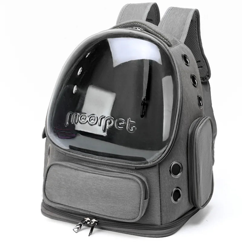 FanzyMarket transparent foldable pet carrier backpack for small dogs and cats, with shoulder strap, 42x27x34 cm, clear and lightweight.