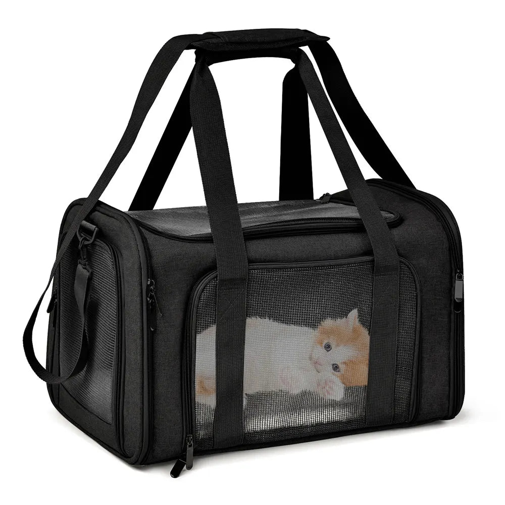 FanzyMarket airline-approved soft-side pet carrier backpack for small dogs and cats, black, size L, up to 12 kg, durable and comfortable.