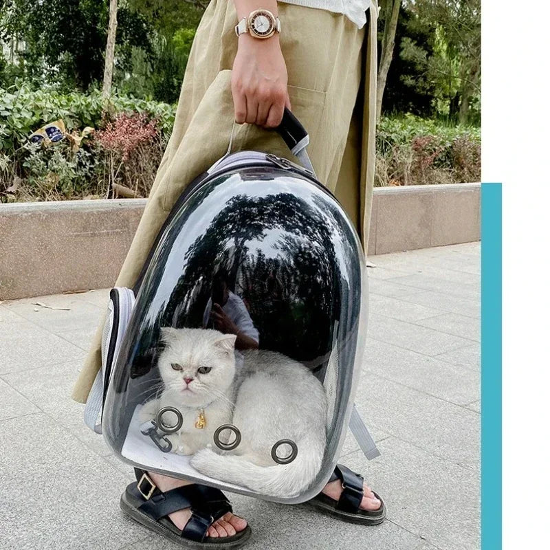 FanzyMarket transparent bubble pet backpack for cats and small dogs, with PVC window, side mesh, and zipper closure.