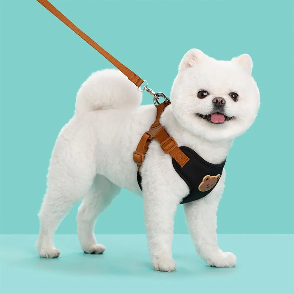 FanzyMarket adjustable no-pull dog harness and leash set in black, lightweight, anti-escape pet harness for walking and travel.