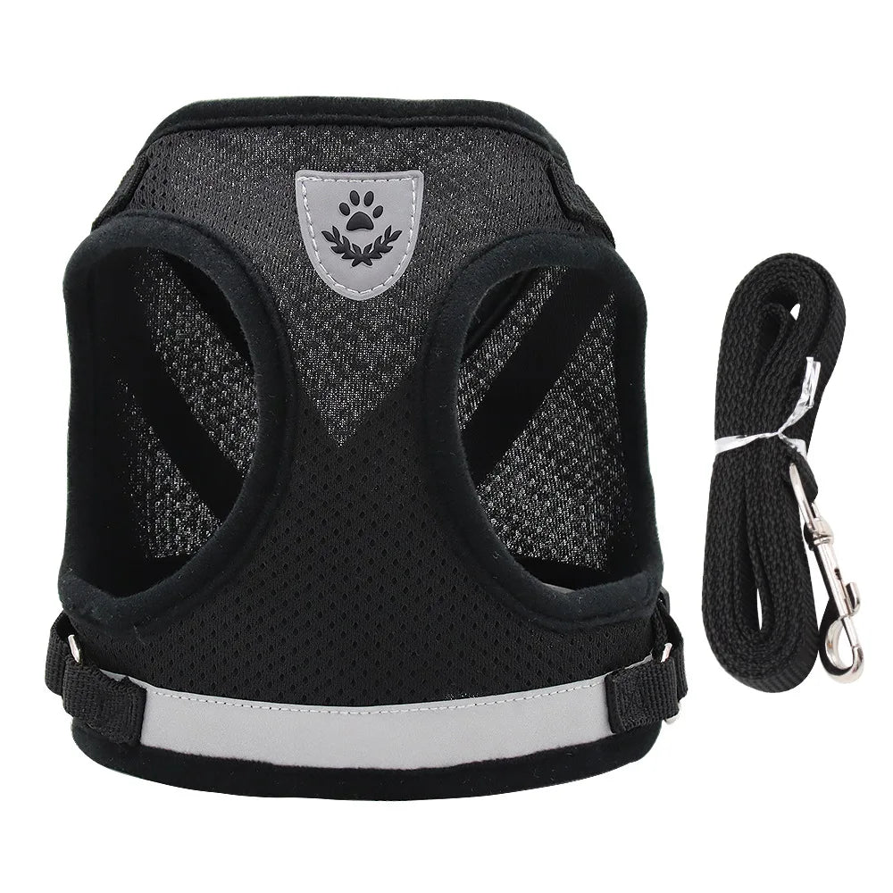 Blue adjustable pet harness and leash set for dogs and cats, featuring a vest design for comfortable walking and safety.