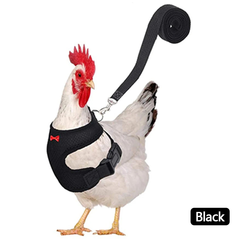 Blue adjustable mesh chicken and duck harness vest with leash for poultry, breathable pet harness from FanzyMarket.