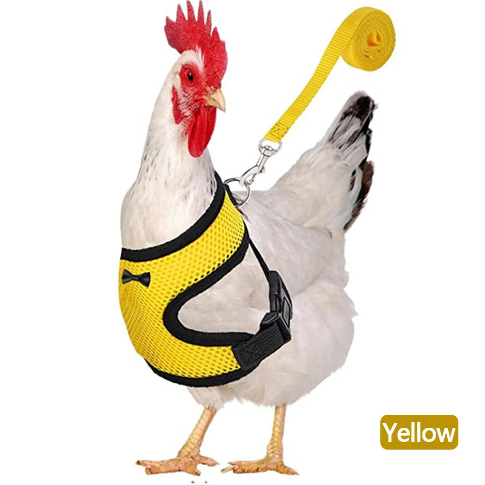 Blue adjustable mesh chicken and duck harness vest with leash, breathable poultry harness in XS to XL size by FanzyMarket.