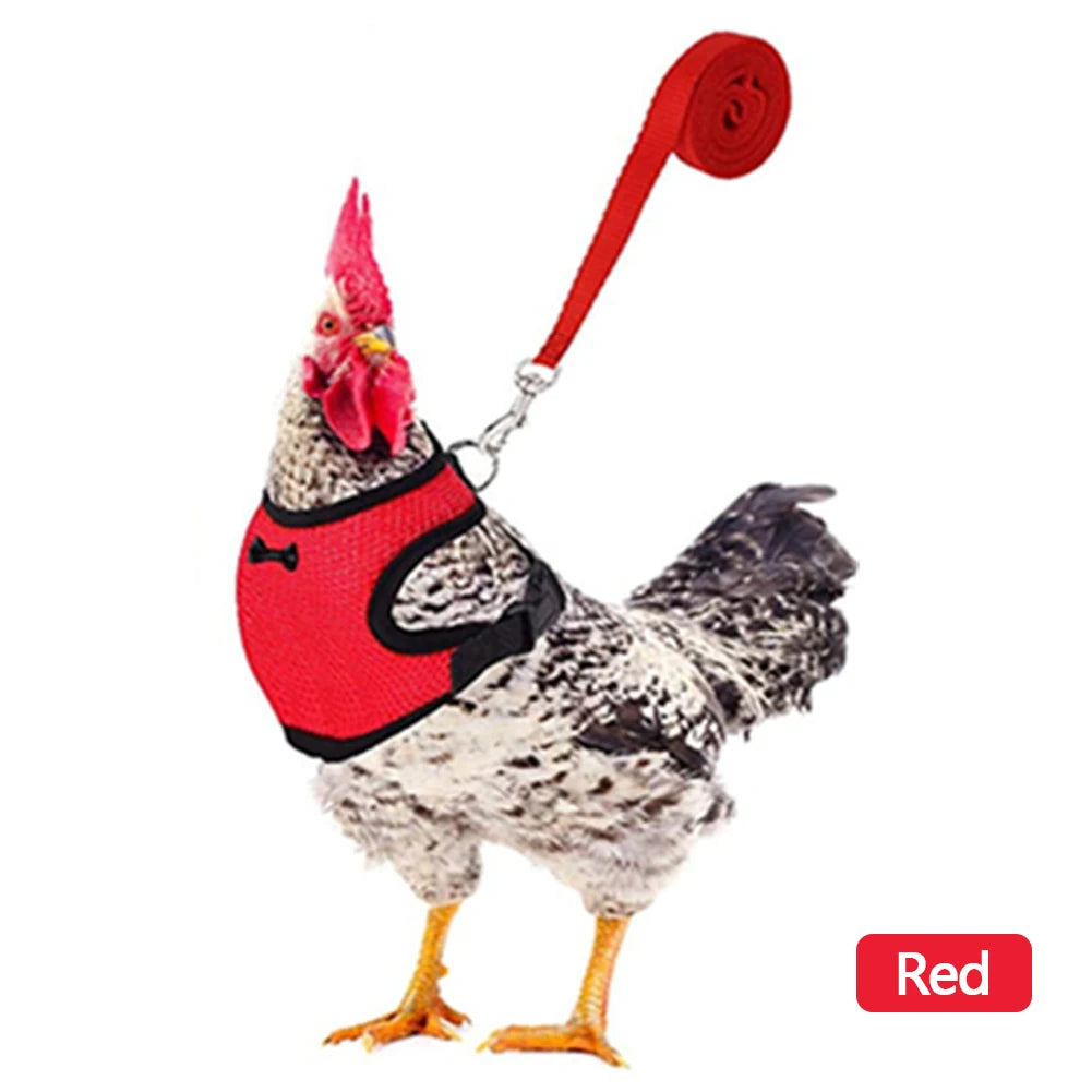 Blue adjustable mesh chicken and duck harness vest with leash, breathable poultry harness for small to extra-large birds.
