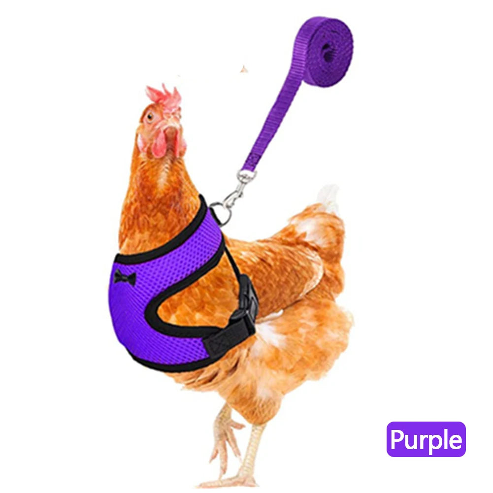Blue adjustable mesh chicken and duck harness vest with leash, breathable poultry harness for small to extra-large birds.