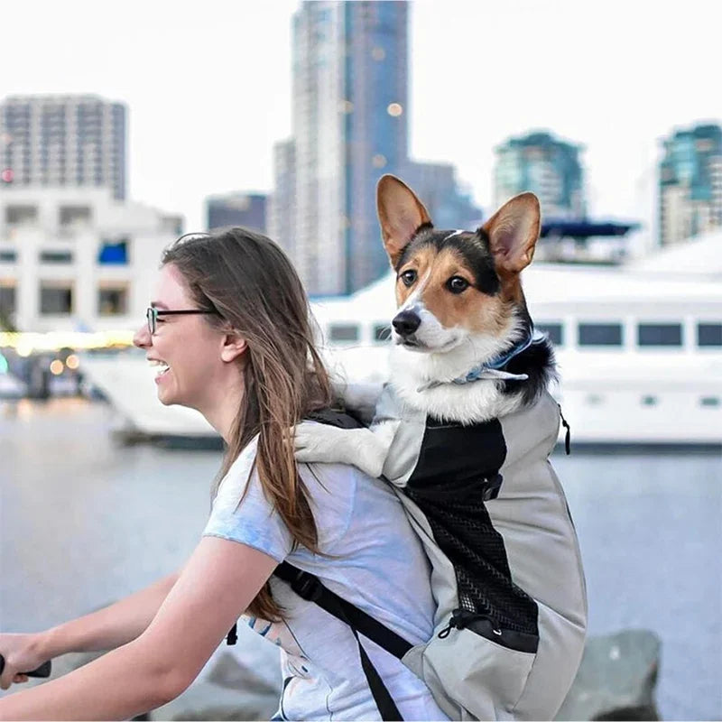 FanzyMarket nylon dog carrier backpack for small to medium dogs, breathable cycling pet carrier up to 30 kg, red color.