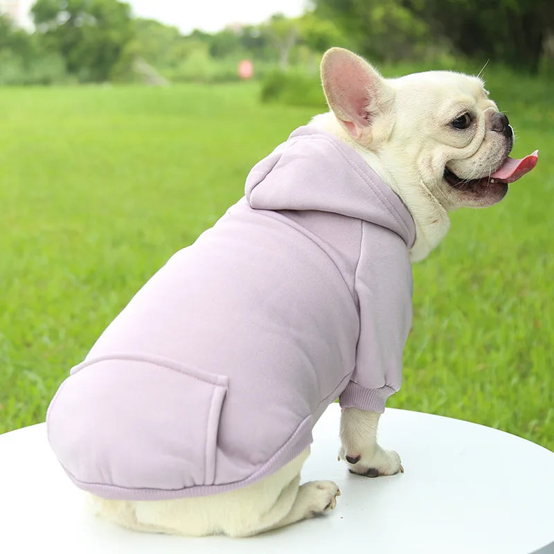 Orange winter hoodie pet coat for dogs and cats, soft polyester with hood and pocket, fits small to large breeds like Chihuahua and French Bulldog.