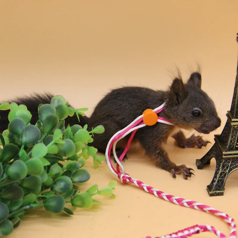 Adjustable hamster harness leash with nylon rope for rat, mouse, or gerbil, available in 1.4m and 2.0m lengths.