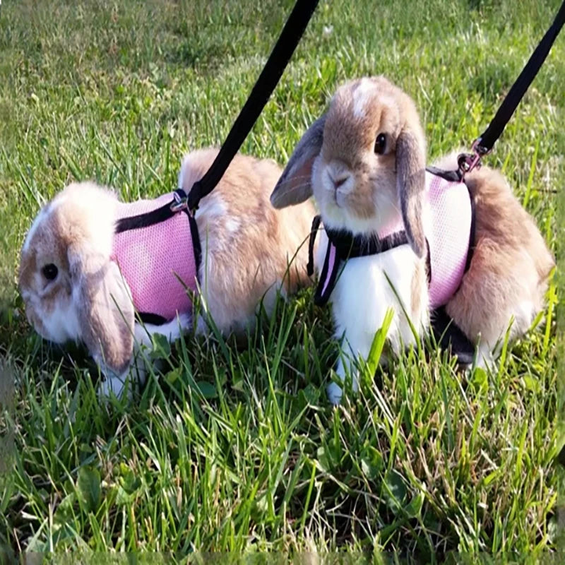 Red breathable mesh pet harness with soft adjustable straps and elastic leash, suitable for rabbits, cats, and small pets.