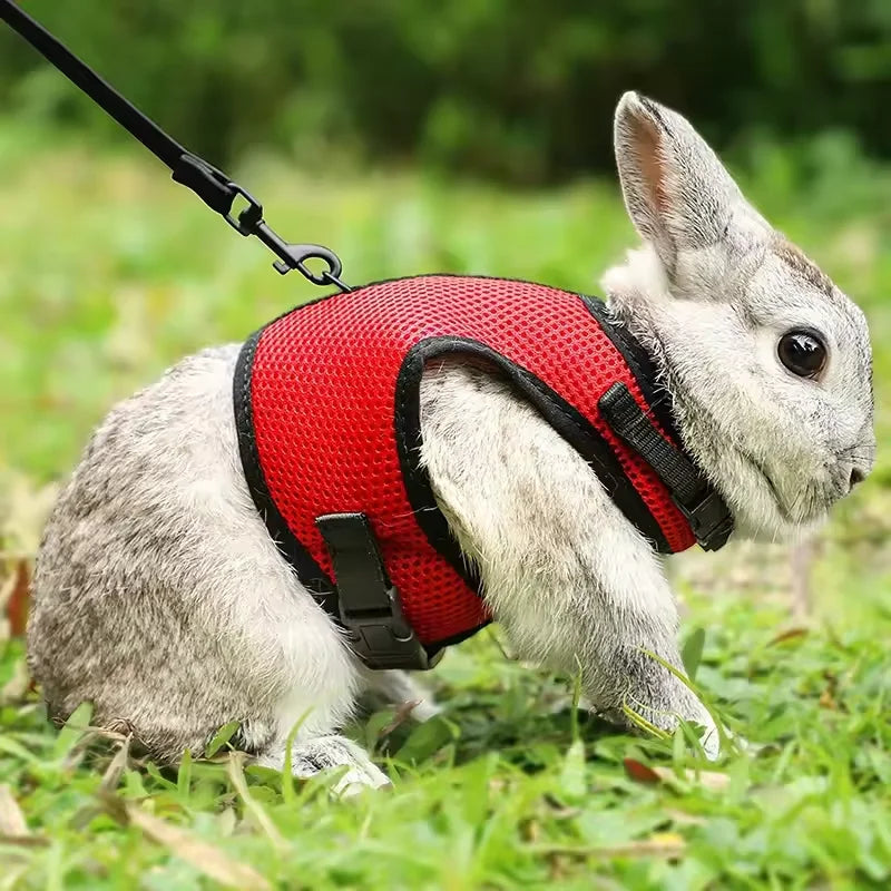 Red breathable mesh pet harness with adjustable soft straps and elastic leash, suitable for rabbits, cats, and small pets.