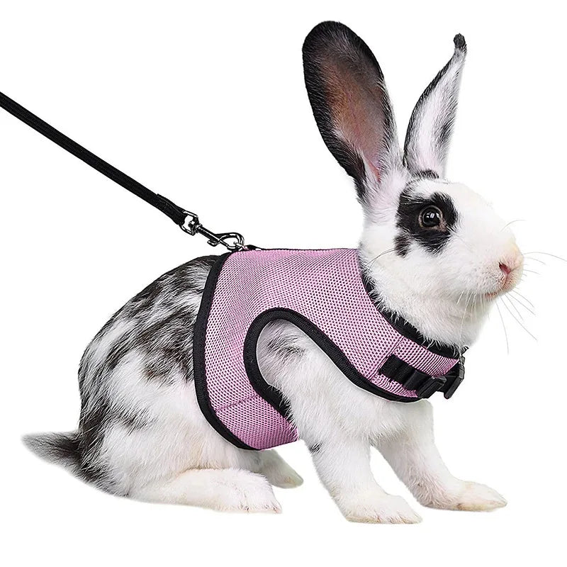 Red breathable mesh pet harness with adjustable soft straps and elastic leash for rabbits, cats, and small pets by FanzyMarket.