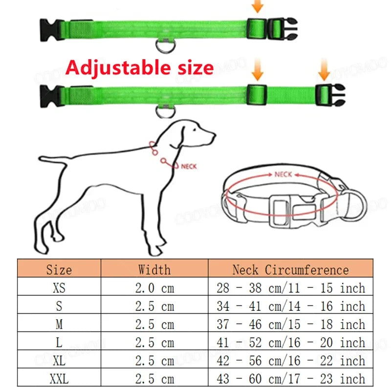Red LED dog collar by FanzyMarket with 3-mode USB rechargeable glow light, adjustable waterproof safety collar for cats and dogs.